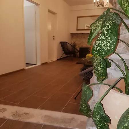 Luxury Dalmata Guest house